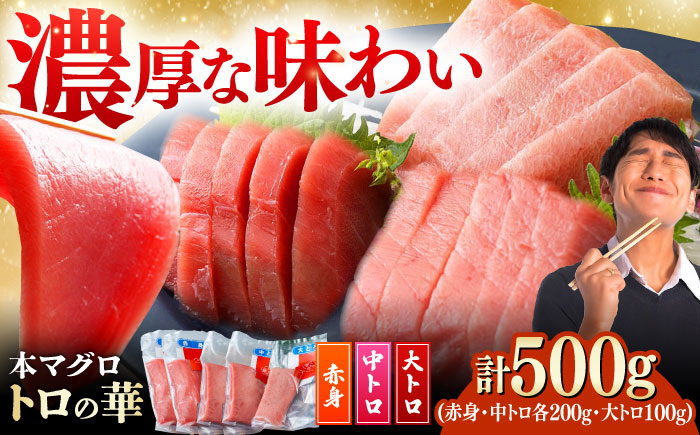 対馬産 本マグロ 500g（赤身200g、中トロ200g、大トロ100g）≪対馬市≫【桐谷商店】 トロの華 対馬 新鮮 マグロ 大トロ 鮪 刺身 鮮度抜群 [WAQ055]