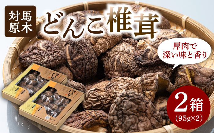 対馬 原木 どんこ椎茸 95g×2箱《対馬市》【うえはら株式会社】 対馬産 肉厚 しいたけ 乾燥 きのこ 贈り物 [WAI014]