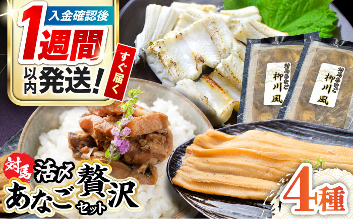 【1週間以内発送】対馬産 あなご 贅沢 セット 《対馬市》【対馬地域商社】九州 長崎 煮あなご 佃煮 アナゴ [WAC002]冷凍 新鮮 あなご 穴子 柳川風 下処理 寿司 あなご重 天ぷら おかず もう1品 おつまみ おにぎり ちらし寿司 海鮮 魚介 長崎 対馬 スピード発送 最速発送 最短発送