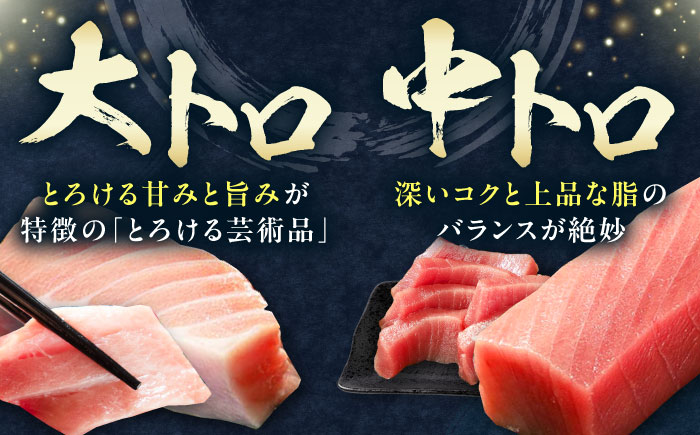 【全2回定期便】対馬産 本マグロ 4種 計550g（赤身/中トロ/大トロ/ネギトロ）《対馬市》【対海】 新鮮 マグロ 鮪 本鮪 赤身 中トロ 大トロ ねぎとろ 海鮮 冷凍 [WAH033]