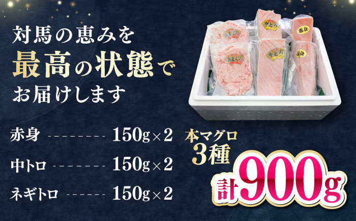【1週間以内発送】対馬産 本マグロ 3種 計900g（赤身/中トロ/ネギトロ）《対馬市》【対海】 冷凍配送 食べ比べ 贈り物 魚介類 [WAH029] スピード発送 最速発送 最短発送