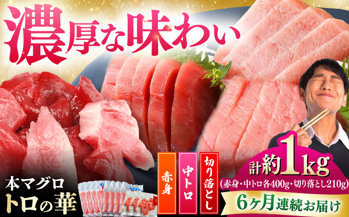 【全6回定期便】対馬産 本マグロ 約1kg（赤身400g、中トロ400g、切り落とし210g） ≪対馬市≫【桐谷商店】 トロの華 対馬 新鮮 マグロ 赤身 トロ 切り落とし 鮪 刺身 [WAQ085]