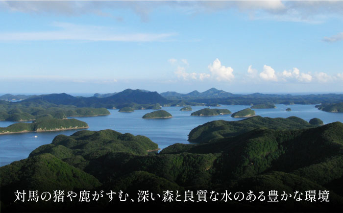 対馬もみじぼたんソーセージ豪華食べ比べセット《対馬市》【一般社団法人 daidai】 鹿肉 猪肉 肉 お肉 冷凍配送 食べ比べ ウインナー 簡単調理 詰め合わせ [WBH048]