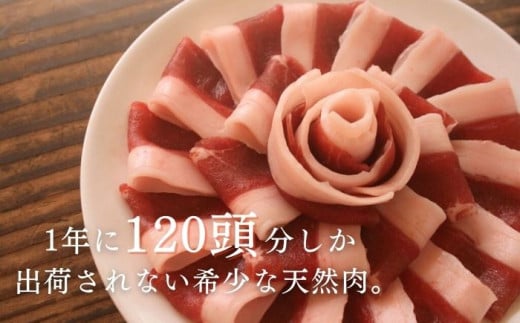 天然 猪肉 極上 ロース スライス＆ 鹿 挽肉 セット 計500g《対馬市》【一般社団法人 daidai】焼肉 赤身 肉 お肉 鹿肉 猪肉 BBQ 高タンパク プレゼント [WBH040]