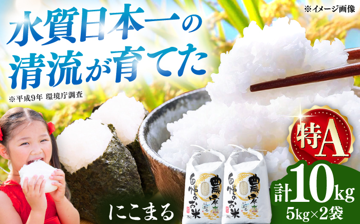 【R8年産】【2026年10月中旬頃より順次発送】特A 対馬産 にこまる 5kg×2「ほたる舞う三根川の米」 《対馬市》【永留しいたけ農園】新米 米 お米 ご飯 ごはん 白米 10kg 10キロ 産地直送 ランキング 送料無料 贈答用 特A [WAJ001]
