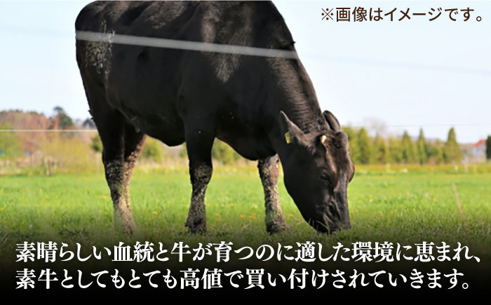 【全2回定期便】【30日間バター熟成】壱岐牛 A5ランク 希少部位 赤身ステーキ 200g×4枚（雌）部位おまかせ《壱岐市》【KRAZY MEAT】[JER035] ステーキ 赤身 希少部位 牛肉 120000 120000円 12万円