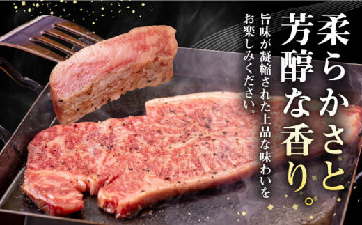 【全3回定期便】 壱岐牛 サーロインステーキ 500g（250g×2枚）《壱岐市》【株式会社イチヤマ】[JFE018] 定期便 赤身 肉 牛肉 サーロイン ステーキ 焼肉 焼き肉 BBQ 87000 87000円