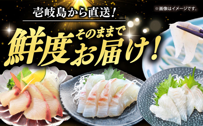 【全6回定期便】 【壱岐島直送】プレミアム海鮮4種食べ比べ刺身セット≪壱岐市≫【なかはら】 冷凍配送 刺身 小分け 産地直送 お刺身 刺し身 寿司 海鮮 [JDT084] 100000 100000円 10万円