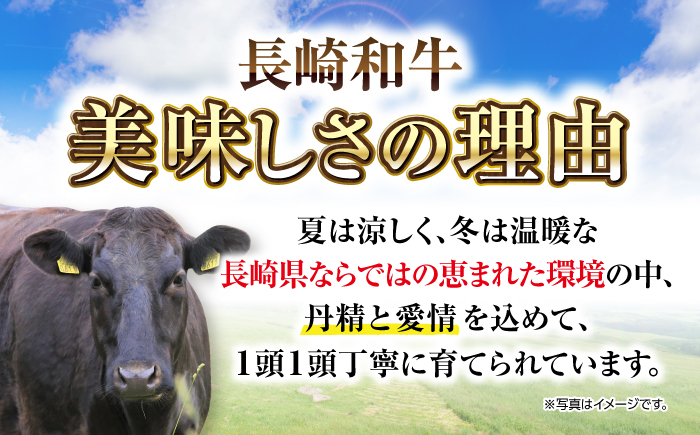 【訳あり】【A4~A5ランク】長崎和牛 しゃぶしゃぶ・すき焼き用 400g（肩ロース肉・肩バラ肉・モモ肉）《壱岐市》【株式会社MEAT PLUS】 肉 牛肉 黒毛和牛 鍋 ご褒美 冷凍配送 訳あり しゃぶしゃぶ用 すき焼き用 すき焼用 A4 A5 [JGH005]