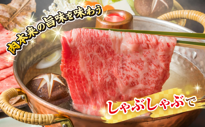 【全3回定期便】【訳あり】【A4~A5ランク】長崎和牛 しゃぶしゃぶ・すき焼き用 500g（肩ロース肉・肩バラ肉・モモ肉）《壱岐市》【株式会社MEAT PLUS】 肉 牛肉   冷凍配送 訳あり しゃぶしゃぶ用 すき焼用 A5 [JGH056]