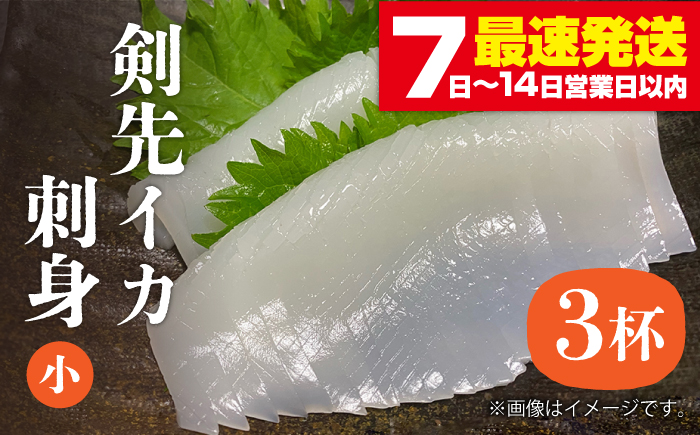 剣先イカ 刺身（小）3杯《壱岐市》【株式会社マルショウ】[JEW002] いか イカ 剣先いか セット おつまみ 新鮮 海鮮丼 刺し身 12000 12000円
