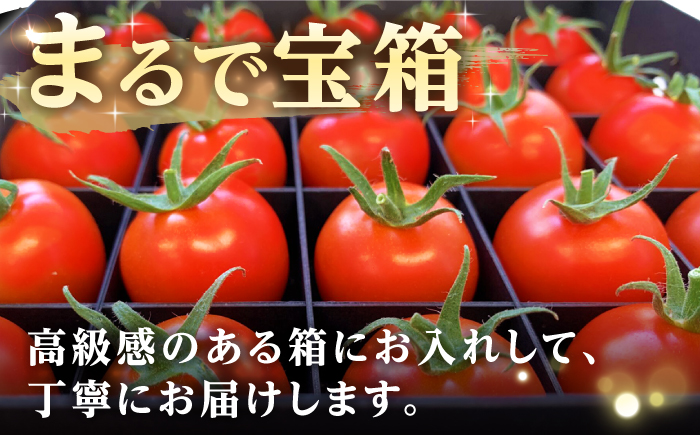 厳選!高糖度 あま壱岐トマト 約600~700g《壱岐市》【壱岐の潮風】 トマト 野菜 完熟 高糖度 ギフト プレゼント 贈り物 産地直送 常温配送 19000 19000円 [JAE010]