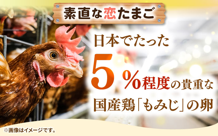 【全3回定期便】特選 素直な恋たまご 30個 《壱岐市》【しまのたまご屋さん】  卵 たまご 鶏卵 玉子 ギフト 国産 卵かけご飯 たまごかけご飯 のし 定期便 [JAP019] 30000 30000円 3万円