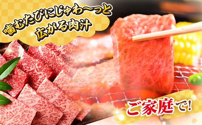 【全2回定期便】【A4〜A5ランク】長崎和牛 焼肉用 1kg（500g×2パック）《壱岐市》【株式会社MEAT PLUS】肉 牛肉 黒毛和牛 焼き肉 焼肉 焼肉用 ギフト 贈答用 ご褒美 冷凍配送 A4 A5 [JGH111]