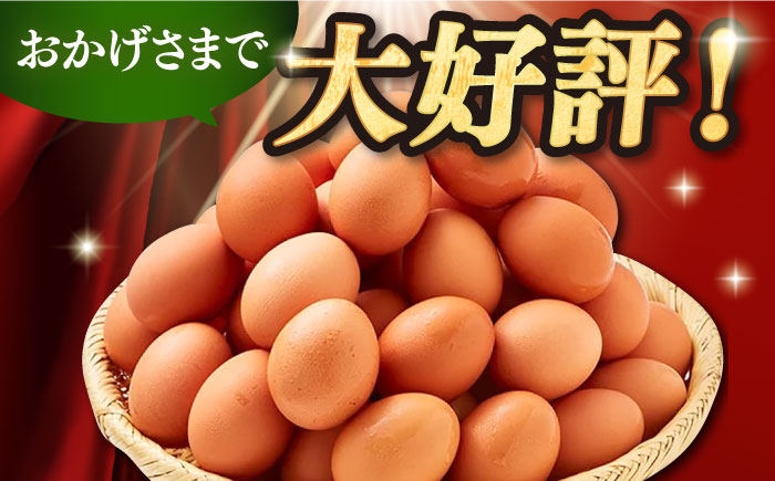 【全3回定期便】特選 素直な恋たまご 30個 《壱岐市》【しまのたまご屋さん】 [JAP016] 卵 たまご 鶏卵 玉子 ギフト 国産 卵かけご飯 たまごかけご飯 のし 定期便 [JAP019]