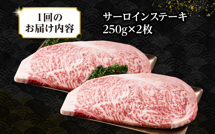 【全6回定期便】【A4〜A5ランク】長崎和牛 サーロインステーキ 500g（250g×2枚）《壱岐市》【株式会社MEAT PLUS】 肉 牛肉 黒毛和牛 サーロイン ステーキ ご褒美 ギフト 贈答用 ご褒美 冷凍配送 A4 A5 [JGH129]