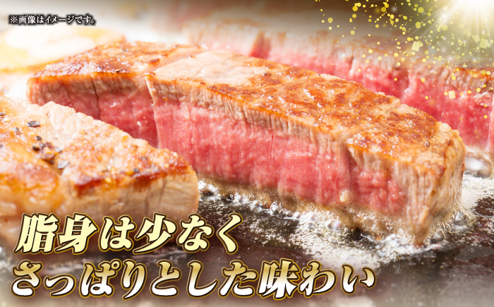 【全3回定期便】長崎和牛 ヒレ ステーキ 200g×1 《壱岐市》【KRAZY MEAT】 A5 A4 冷凍 和牛 肉 牛肉 BBQ [JER125]