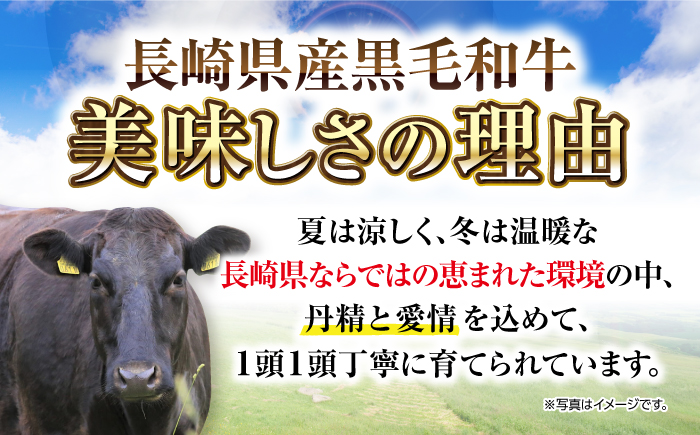 【12回定期】長崎県産黒毛和牛切り落とし 760g（380×2）《壱岐市》【弥川畜産】 冷凍配送 肉 牛肉 スライス 和牛 すき焼き 牛丼 贈答 プレゼント 小分け [JGF007]