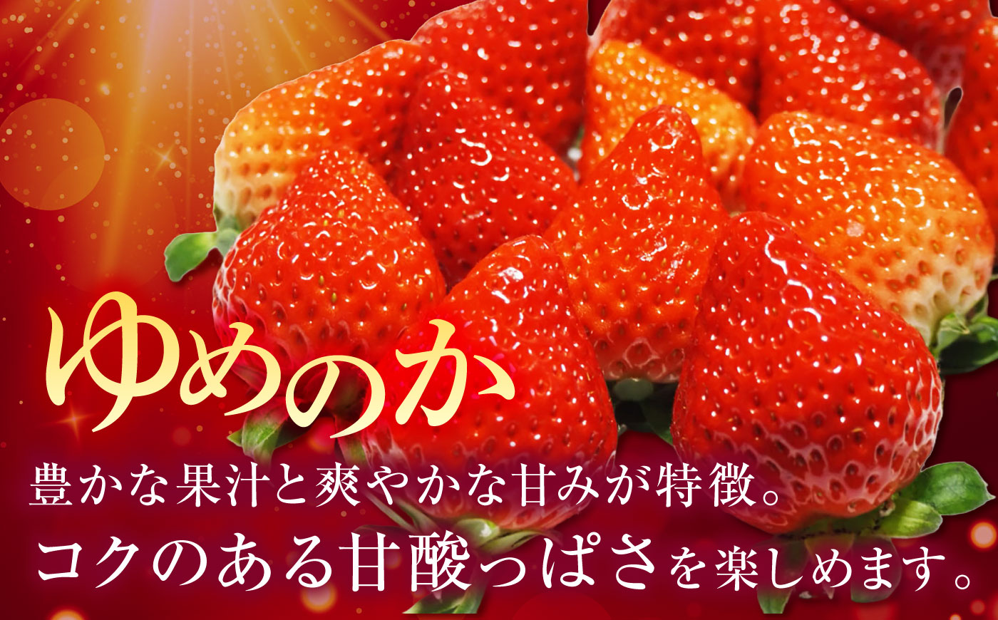 【先行予約】【訳あり/簡易包装】ゆめのか 約250g×4パック【2027年1月以降順次発送】《壱岐市》【Strawberry Gang】 [JEM003] イチゴ 苺 果物 フルーツ スムージー 13000 13000円 冷蔵配送 訳あり