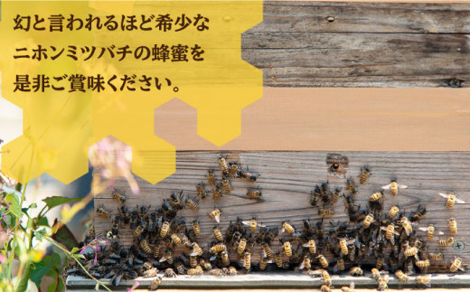 ニホンミツバチ 生蜂蜜 600g《壱岐市》【憲ちゃんハチミツ】[JCL001] はちみつ ハチミツ 蜂蜜 日本蜜蜂 国産 非加熱 29000 29000円 