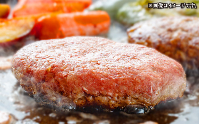 【全12回定期便】長崎和牛 ハンバーグ 150g×4 《壱岐市》【KRAZY MEAT】 A5 A4 冷凍 和牛 肉 牛肉 BBQ ハンバーグ 贈答品 [JER169]