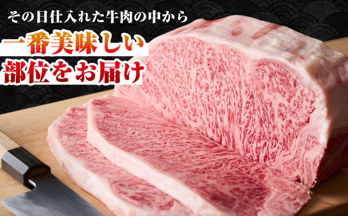 【全12回定期便】【A4〜A5ランク】長崎和牛 サーロインステーキ 500g（250g×2枚）《壱岐市》【株式会社MEAT PLUS】 肉 牛肉 黒毛和牛 サーロイン ステーキ ご褒美 ギフト 贈答用 ご褒美 冷凍配送 A4 A5 [JGH130]