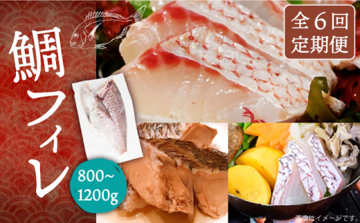 【全6回定期便】鯛フィレ 約800〜1200g（1尾・2kg台）《壱岐市》【なかはら】 [JDT034] タイ 鯛 フィレ 柵 刺身 刺身ブロック 刺し身 切身 冷凍 海鮮 海鮮丼 定期便 162000 162000円 冷凍配送