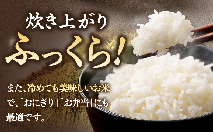 壱岐産米 こしひかり 5kg《壱岐市》【壱岐フードファクトリー】 [JDW061]