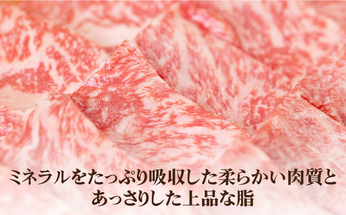 《A4〜A5ランク》壱岐牛 ロース 300g （焼肉） 《壱岐市》【壱岐市農業協同組合】[JBO026] 肉 牛肉 ロース 焼肉 焼き肉 赤身 BBQ 18000 18000円 のし プレゼント ギフト