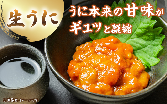 生ウニ ＆ 一汐うに 各60g 食べ比べセット≪壱岐市≫【馬渡水産】 冷凍配送 ウニ 新鮮 食べ比べ 小分け 贈答 プレゼント 海鮮 魚介 希少 [JAQ024]