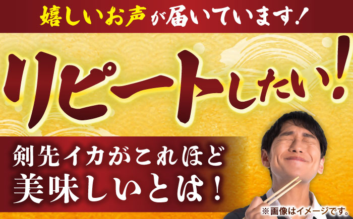 【冷凍】剣先イカ 刺身用 500g 剣先烏賊 《壱岐市》【一支國屋】[JCC024] 海鮮 烏賊 イカ いか 刺身 刺し身 お刺身 剣先イカ 冷凍配送