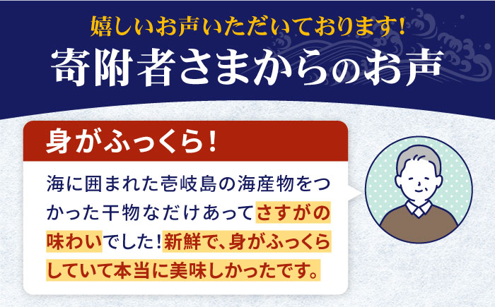 【全6回定期便】旬の海産物 干物詰め合わせ Aセット 《壱岐市》【マルミ海産物】[JCY010] 66000 66000円 干物 ひもの アジ あじ さんま サンマ イワシ みりん干し 朝食 鮮魚 手作り