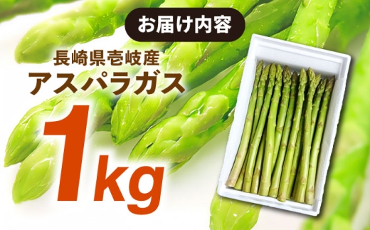 壱岐産 アスパラガス 1kg（L〜2Lサイズ）《壱岐市》【壱岐市農業協同組合】[JBO004] 野菜 旬 春野菜 夏野菜 新鮮 産地直送 アスパラ 冷蔵配送 先行予約 季節の野菜 グリーンアスパラガス 13000 13000円