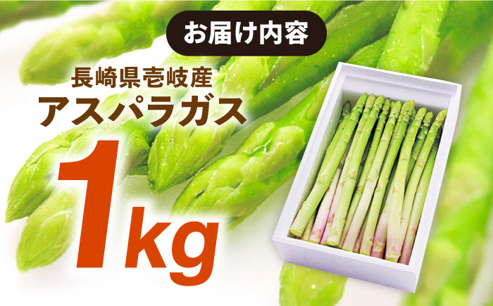 壱岐産 アスパラガス 1kg《壱岐市》【壱岐市農業協同組合】[JBO004] 野菜 旬 春野菜 夏野菜 新鮮 産地直送 アスパラ 冷蔵配送 先行予約 季節の野菜 グリーンアスパラガス 11000 11000円