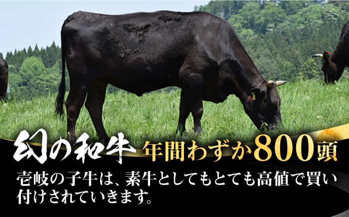 【全3回定期便】 壱岐牛 モモブロック 500g［化粧箱付き]《壱岐市》【株式会社イチヤマ】[JFE093] 定期便 肉 牛肉 モモ ブロック ブロック肉 塊肉 ステーキ BBQ 赤身 焼肉 焼き肉 69000 69000円