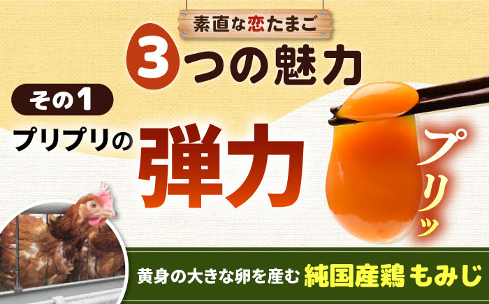 【全6回定期便】特選 素直な恋たまご 30個 《壱岐市》【しまのたまご屋さん】 [JAP016] 卵 たまご 鶏卵 玉子 ギフト 国産 卵かけご飯 たまごかけご飯 のし 定期便 [JAP020]