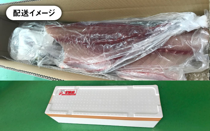 壱岐島産天然寒ブリ（13ｷﾛ台・3枚おろし） [JBS112]