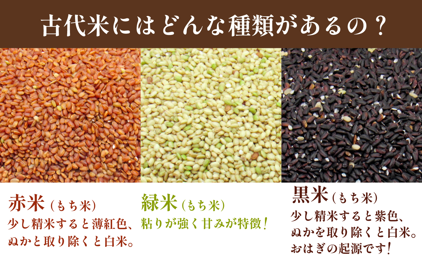 壱岐島の古代米 黒米 1kg (500g入り×2袋) 《壱岐市》【天下御免】 雑穀米 玄米 米 栄養 白米に混ぜる [JDB405]