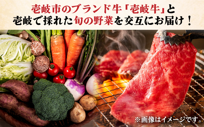 【全6回定期便】《A4〜A5ランク》壱岐牛と旬の野菜定期便《壱岐市》【壱岐市農業協同組合】 [JBO078] 壱岐牛 肉 黒毛和牛 野菜 旬 詰め合わせ 贅沢 BBQ 150000 150000円