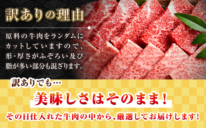 【全12回定期便】【訳あり】【A4〜A5ランク】長崎和牛 焼肉切り落とし 1kg（500g×2パック）(肩ロース・バラ）《壱岐市》【株式会社MEAT PLUS】 肉 牛肉 黒毛和牛 焼き肉 焼肉 焼肉用 ギフト 贈答用 冷凍配送 A4 A5 [JGH122]