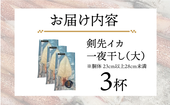 剣先イカ 一夜干（大）3杯《壱岐市》【株式会社マルショウ】 [JEW007] いか イカ 剣先いか セット おつまみ 一夜干し 海産物 魚介 刺し身　19000 19000円