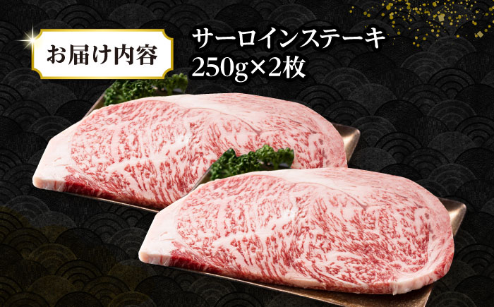 【A4〜A5ランク】長崎和牛 サーロインステーキ 500g（250g×2枚）《壱岐市》【株式会社MEAT PLUS】 肉 牛肉 黒毛和牛 サーロイン ステーキ ご褒美 ギフト 贈答用 ご褒美 冷凍配送 A4 A5 [JGH024]