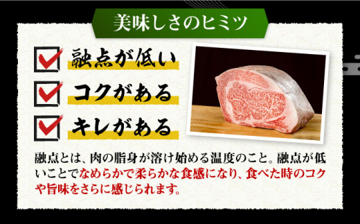 壱岐牛 ロースブロック 500g《壱岐市》【株式会社イチヤマ】[JFE013] 赤身 肉 牛肉 ロース ブロック ステーキ BBQ 焼肉 焼き肉 ブロック肉 塊肉 29000 29000円 のし プレゼント ギフト