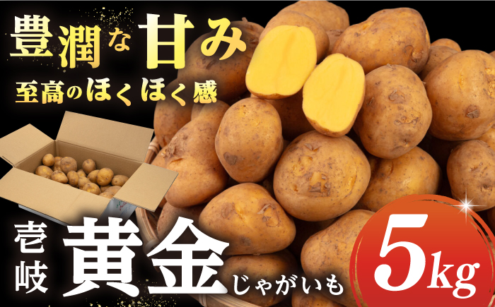 【2月中旬以降順次発送】壱岐黄金じゃがいも 5kg 《壱岐市》【壱岐市農業協同組合】 じゃがいも ジャガイモ ポテト 野菜 季節の野菜 夏野菜 冬野菜 [JBO139]