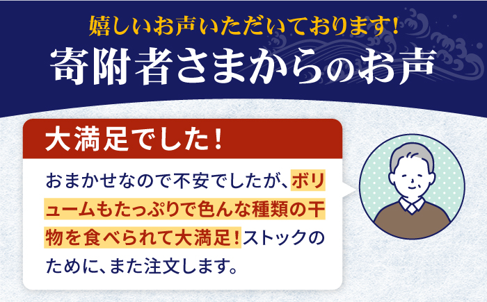 【全2回定期便】旬の海産物セットＣ《壱岐市》【朝市　マルミ海産物】アジ みりん干し イワシ 剣一夜干し 剣先イカ [JCY023]