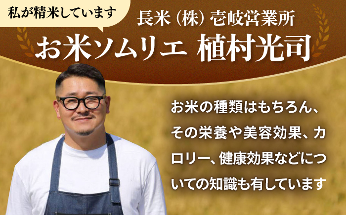 【全3回定期便】 壱岐産米 にこまる  1等米  10kg 《壱岐市》【長米壱岐営業所】 [JCZ028]