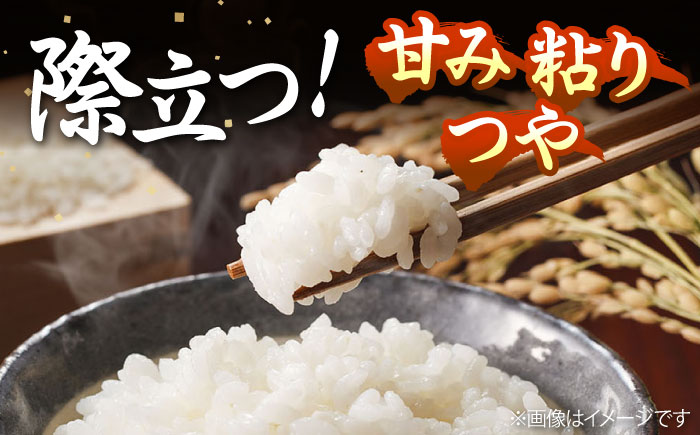 【全3回定期便】 壱岐産米 つや姫（特別栽培米）1等米  5kg 《壱岐市》【長米壱岐営業所】 [JCZ029]