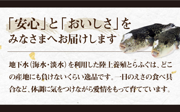 【全3回定期便】とらふぐ 刺身 （4〜5人前）《壱岐市》【なかはら】[JDT027] ふぐ フグ 河豚 とらふぐ トラフグ 刺身 刺し身 ふぐ刺し フグ刺し とらふぐ刺し トラフグ刺し てっさ ふぐ刺身 とらふぐ刺身 192000 192000円