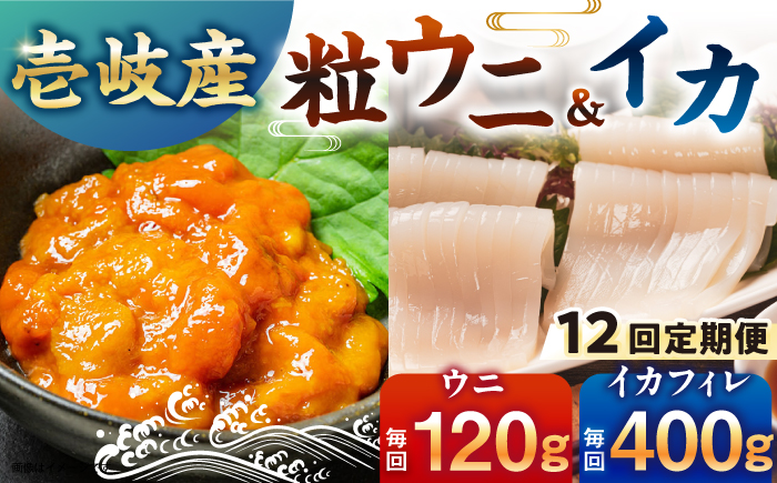 　【冷凍】全12回定期便　壱岐産剣先イカフィレ(80g)×5枚　壱岐産粒うに瓶60g×1本　《壱岐市》　【一支國屋】 [JCC019]