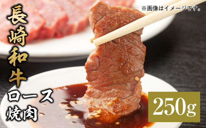 【和牛セレブ】長崎和牛 焼肉 ロース 250g [JGV006]